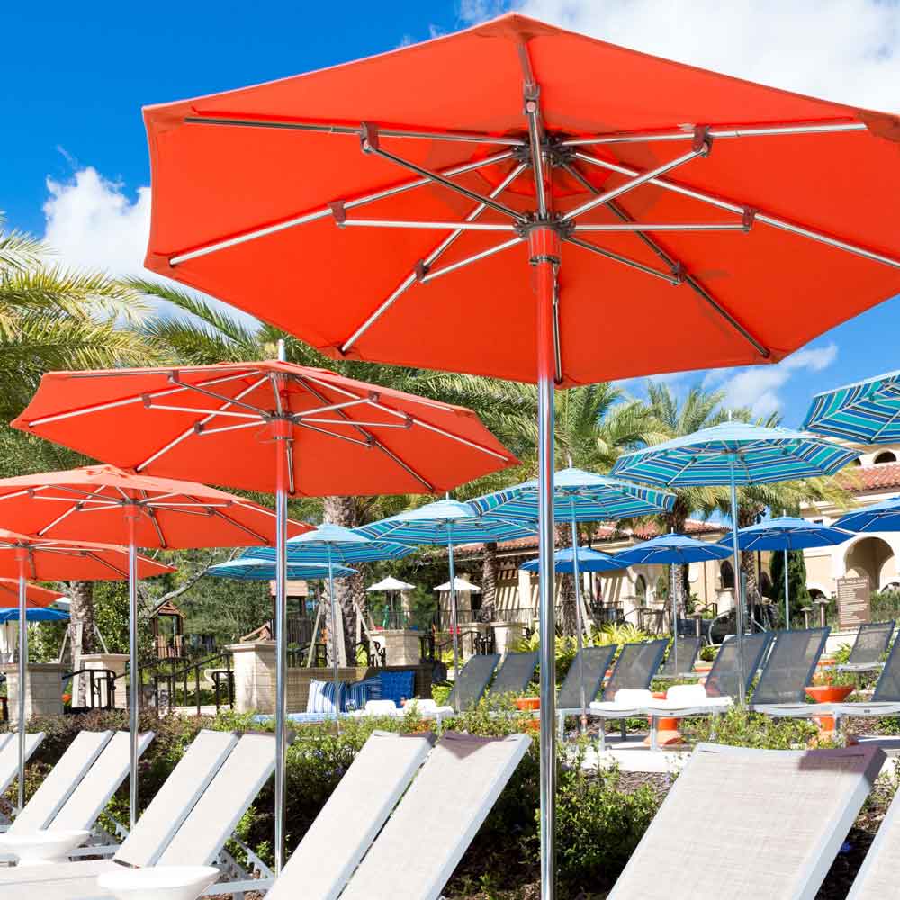 Ocean Master Classic - Image 2